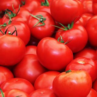 Bio-Tomaten rund