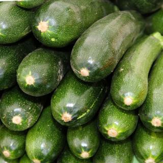 Bio-Zucchini