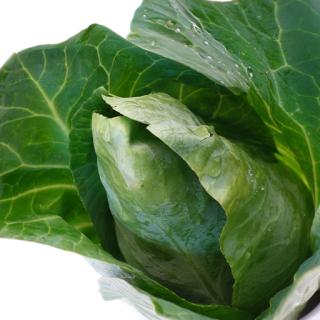 Bio-Spitzkohl