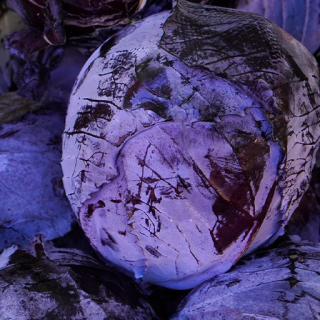 Bio-Rotkohl