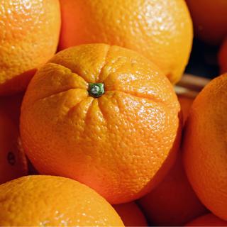 Bio-Orangen