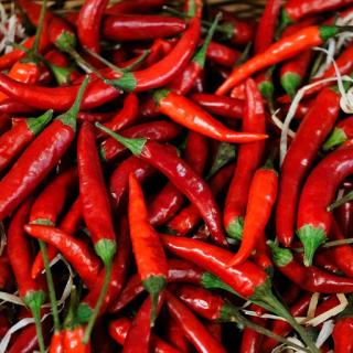 Bio-Peperoni rot