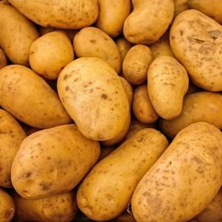 Bio-Kartoffeln 2,5kg