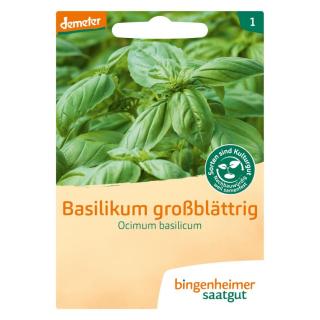 Basilikum Großblättrig