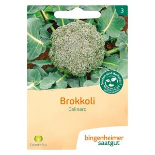 Brokkoli Calinaro          *V*