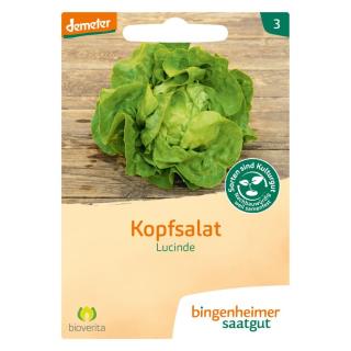 Kofpsalat Lucinde