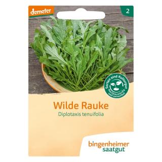 Salat Rucola Wilde Rauke