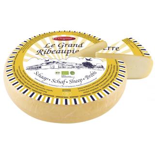 Schaf-Ribeaupierre
