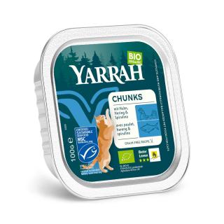 Katzen Bröckchen Fisch
